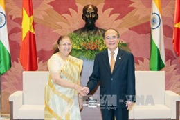Chủ tịch Quốc hội Nguyễn Sinh Hùng tiếp Chủ tịch Hạ viện Ấn Độ 