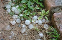 Đề phòng tố lốc, mưa đá ở Đông Bắc Bộ, Bắc Trung Bộ 
