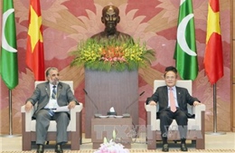 Chủ tịch Quốc hội Nguyễn Sinh Hùng tiếp Chủ tịch Hạ viện Pakistan 