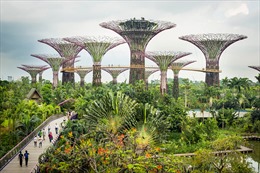 Singapore hướng đến &#39;thành phố trong vườn&#39;