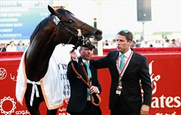 Ngựa của Michael Owen vô địch Dubai Gold Cup