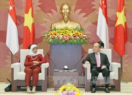 Chủ tịch Quốc hội Nguyễn Sinh Hùng hội đàm với Chủ tịch Quốc hội Singapore 