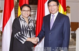 Phó Thủ tướng Phạm Bình Minh hội đàm với Ngoại trưởng Indonesia
