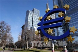 Kinh tế Eurozone mong &#39;đổi vận&#39; nhờ QE