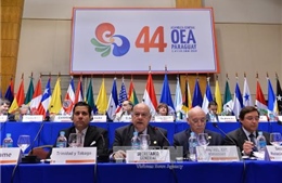 Cuba khẳng định không tái gia nhập OAS
