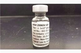 Canada tiết lộ kết quả khả quan về vắcxin chống Ebola