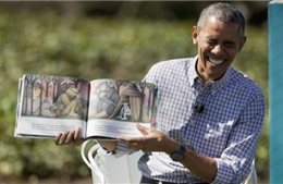 Đàn ong &#39;phá đám&#39; ông Obama kể truyện