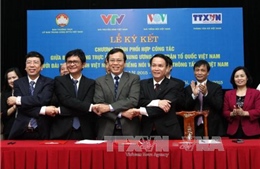 Tăng cường phối hợp giữa MTTQ Việt Nam với VTV, VOV, TTXVN 