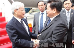 Tổng Bí thư Nguyễn Phú Trọng tiếp lãnh đạo tỉnh Vân Nam