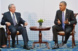 Mỹ Latinh &#39;ăn mừng&#39; cuộc gặp thượng đỉnh Cuba-Mỹ 
