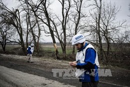 OSCE: Lệnh ngừng bắn lại bị vi phạm tại Ukraine