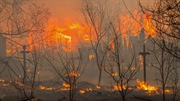 Rừng Siberia chìm trong biển lửa