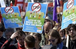 Châu Âu biểu tình phản đối TTIP