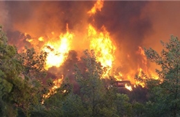 Cao Bằng: Liên tiếp cháy rừng vì đốt vàng mã 