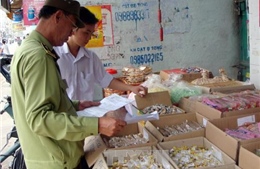 Hà Nội: Thu giữ hơn 1.400 kg bánh kẹo nhập lậu 