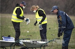 Trước thảm kịch MH17, Đức sớm biết bay qua Ukraine sẽ nguy hiểm