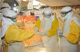 WHO công bố kế hoạch diệt trừ bệnh Ebola