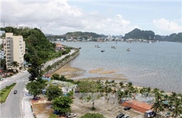Quảng Ninh: Du lịch biển đảo báo hiệu một &#39;mùa gặt&#39; thành công
