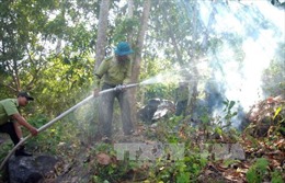 Rừng tràm U Minh Hạ nguy cơ cháy mức cực kỳ nguy hiểm 
