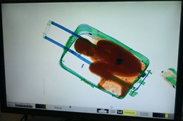Giấu bé trai 8 tuổi trong vali để vượt biên