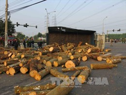 Tây Ninh: Hai xe tải đâm nhau, 3 người thương vong 