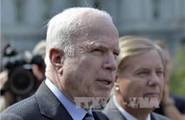 TNS John McCain từ chối làm cố vấn cho Ukraine 