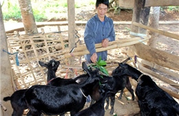 Mạnh dạn đầu tư làm giàu