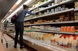 Nga có thể cho phép nhập thực phẩm từ ba nước EU