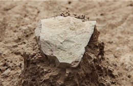 Phát hiện công cụ đá đầu tiên cách đây 3,3 triệu năm