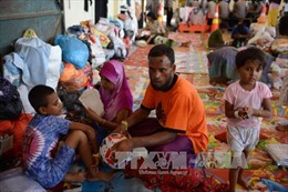 Campuchia để ngỏ khả năng tiếp nhận người Rohingya di cư