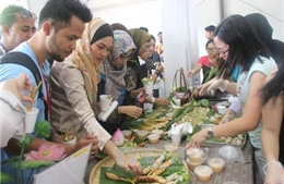 Việt Nam tham gia Lễ hội Sắc màu ASEAN 2015 tại Malaysia