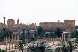 Quân đội Syria chuẩn bị phản công giành lại Palmyra