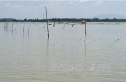 Đồng Nai: Giăng lưới bắt cá trên hồ Trị An, một người đuối nước tử vong