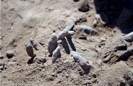  Iraq khai quật 470 thi thể từ các mộ tập thể ở Tikrit