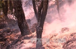 Vẫn chưa khống chế được cháy rừng tại Thanh Hóa 