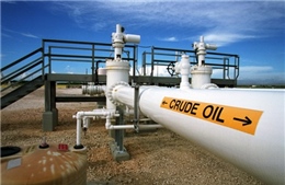 Giá dầu thô tăng mạnh nhất trong hơn 1 tháng qua 