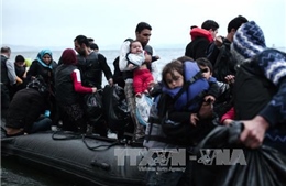 Cứu hơn 3.000 người di cư trên Địa Trung Hải 