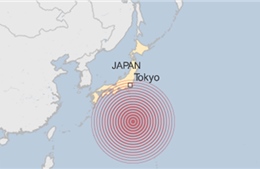 Động đất 8,5 độ richter tại Nhật Bản