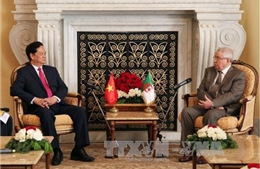 Thủ tướng Nguyễn Tấn Dũng hội đàm với Thủ tướng Algeria 