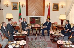 Thủ tướng tiếp Chủ tịch Hội Hữu nghị Algeria – Việt Nam