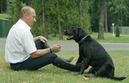 Tổng thống Putin tặng chó con cho bé gái