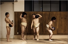 Võ sĩ Sumo nhí Nhật Bản khổ luyện