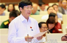 Đại biểu Quốc hội ủng hộ xây sân bay Long Thành