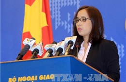Việt Nam cử tàu cứu nạn ra Hoàng Sa là hoạt động hợp pháp