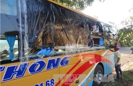 Triệu tập 5 đối tượng trong vụ ném đá xe khách ở Kon Tum