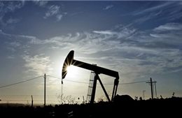 Giá dầu giảm sâu trước thềm họp OPEC 