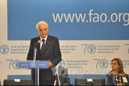 Việt Nam tham dự phiên họp lần thứ 39 của Đại hội đồng FAO 