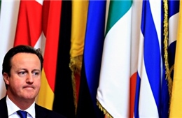 Hạ viện Anh ủng hộ trưng cầu dân ý rút khỏi EU
