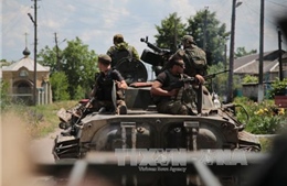 Đa số người dân NATO phản đối vũ trang cho Ukraine 