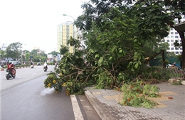 Chiều tối nay lại mưa dông, đề phòng tố lốc